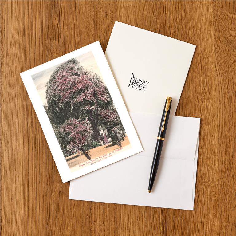 Greeting Card CA-1404