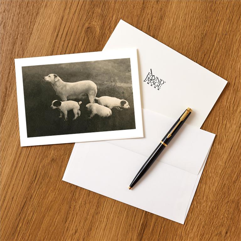 Greeting Card DG-101