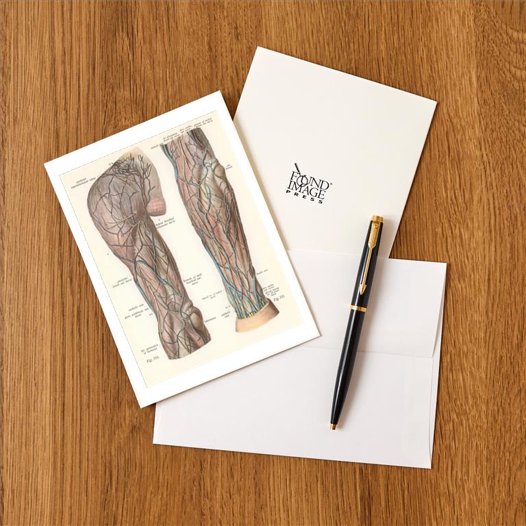 Greeting Card AY-153