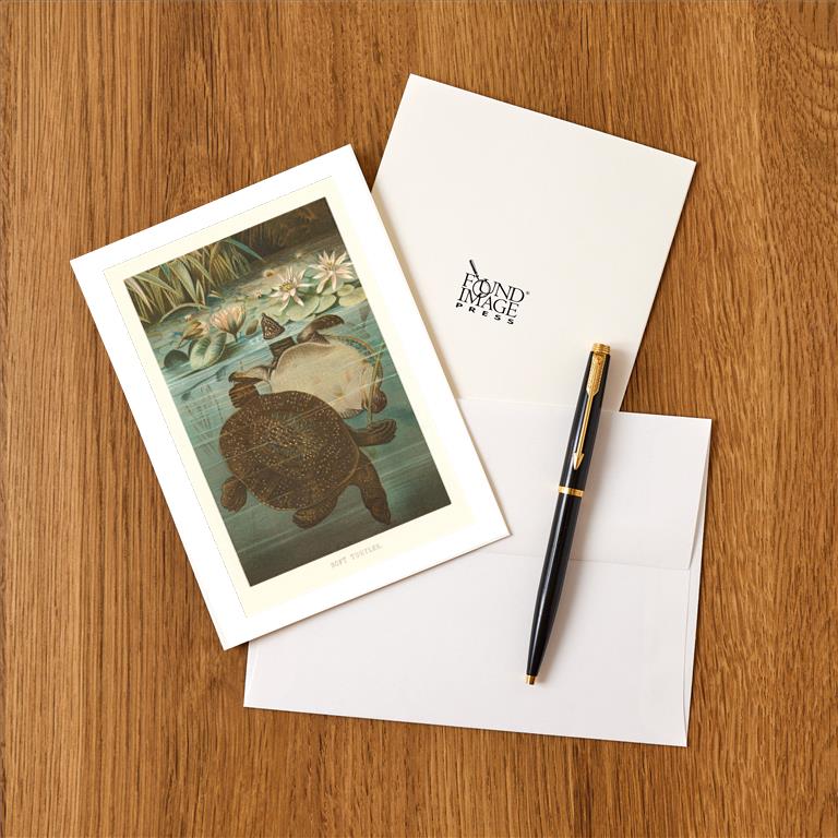 Greeting Card AN-269