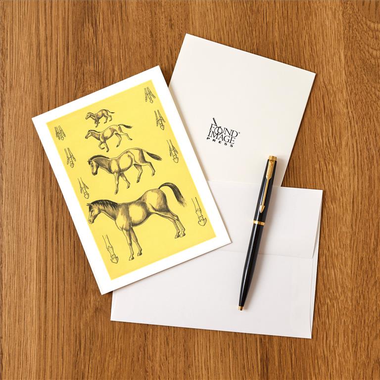 Greeting Card EQ-135