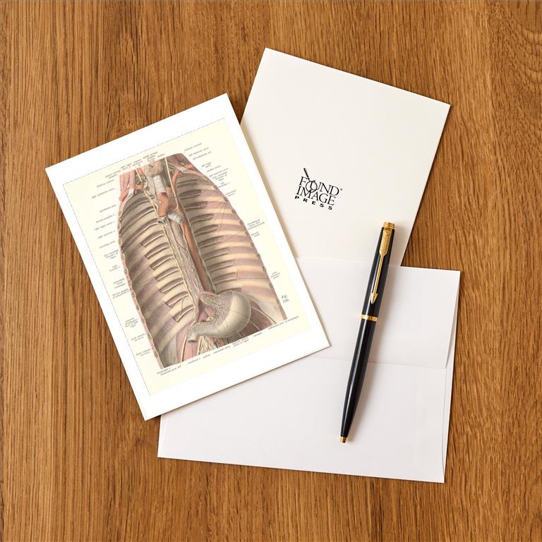 Greeting Card AY-176