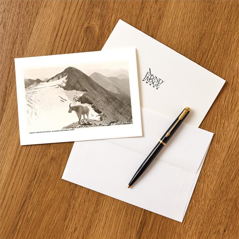 Greeting Card MT-441