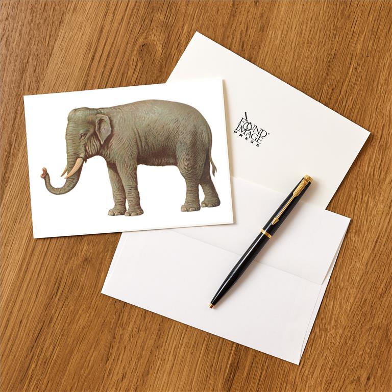 Greeting Card AN-176