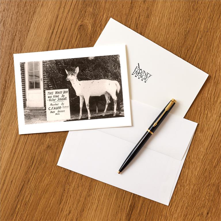 Greeting Card AA-212