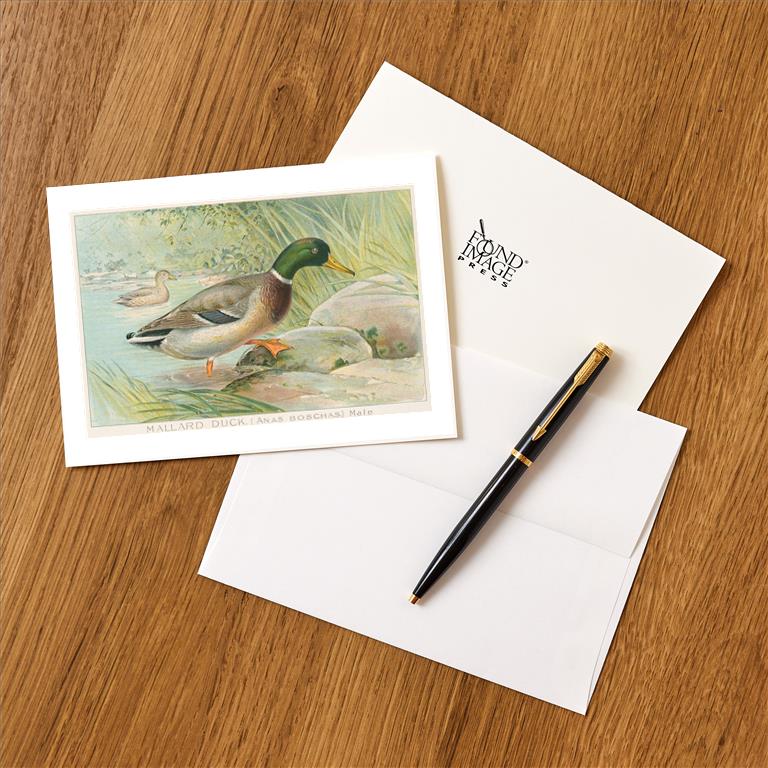 Greeting Card BD-161