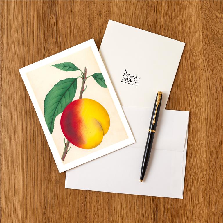 Greeting Card FR-113