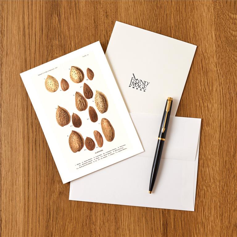 Greeting Card FO-332