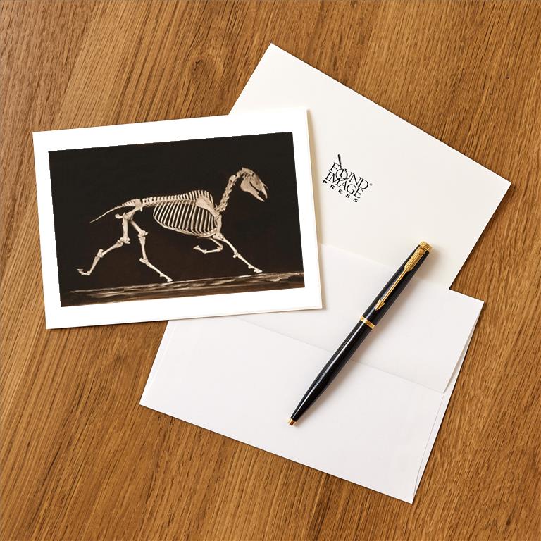 Greeting Card AN-216