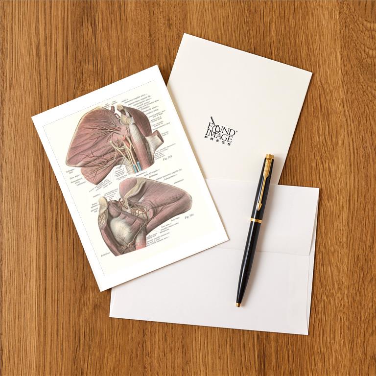 Greeting Card AY-165