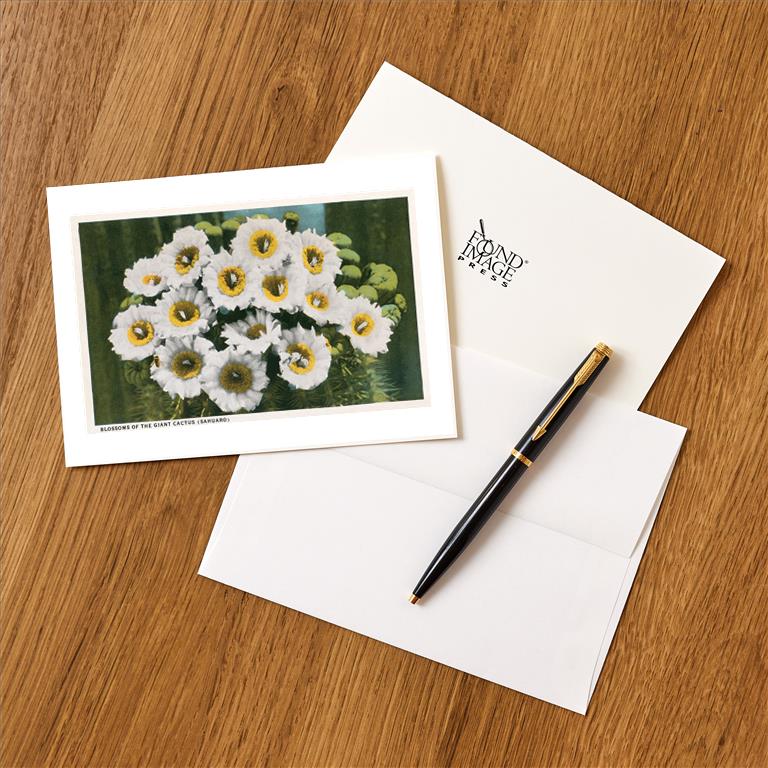 Greeting Card AZ-444