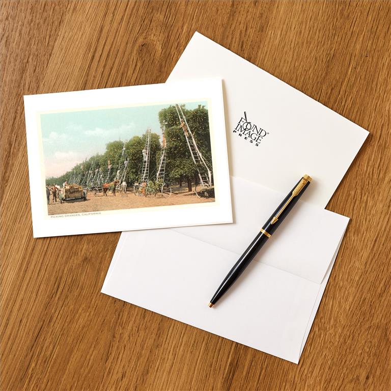 Greeting Card CA-810