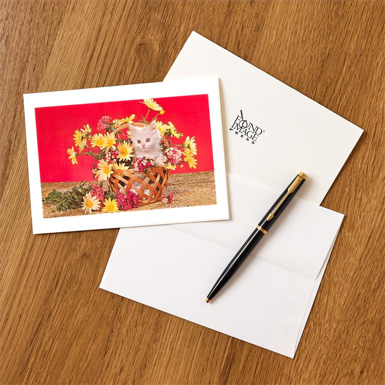 Greeting Card NP-551