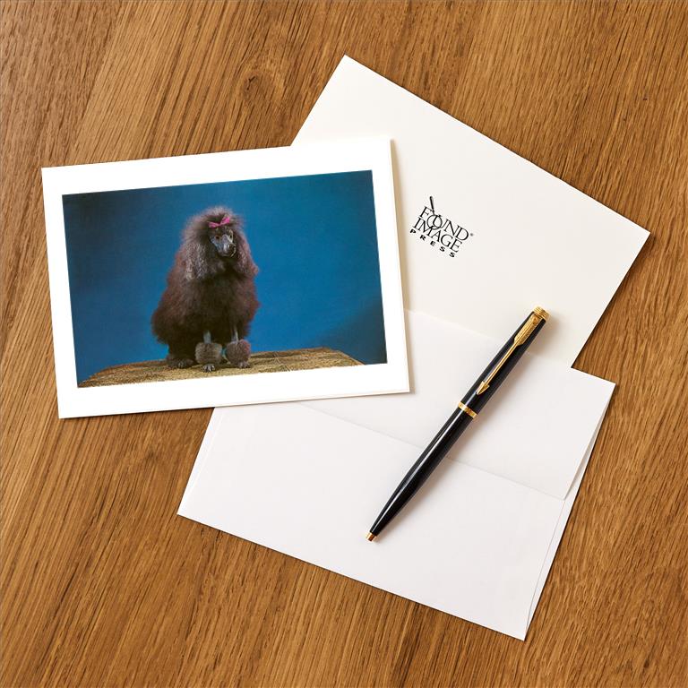 Greeting Card NP-371