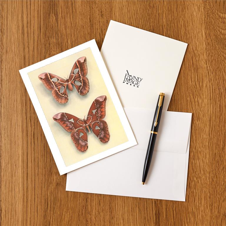 Greeting Card IS-137