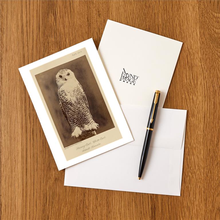 Greeting Card BD-446