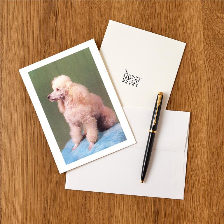 Greeting Card DG-163