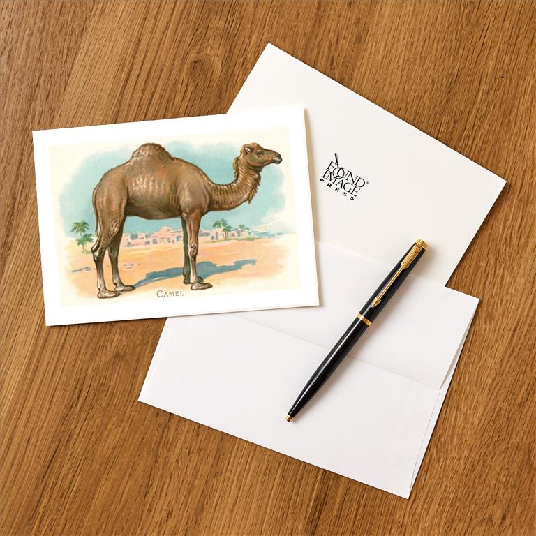 Greeting Card AN-196
