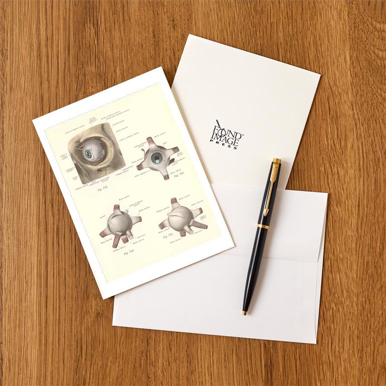 Greeting Card AY-177