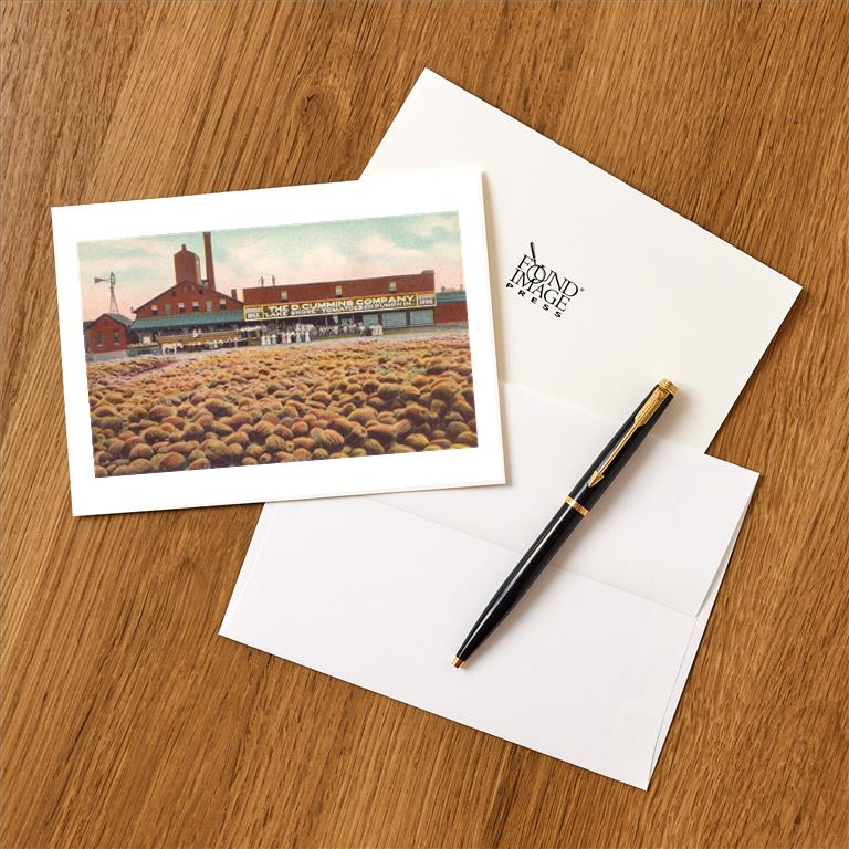 Greeting Card FR-351