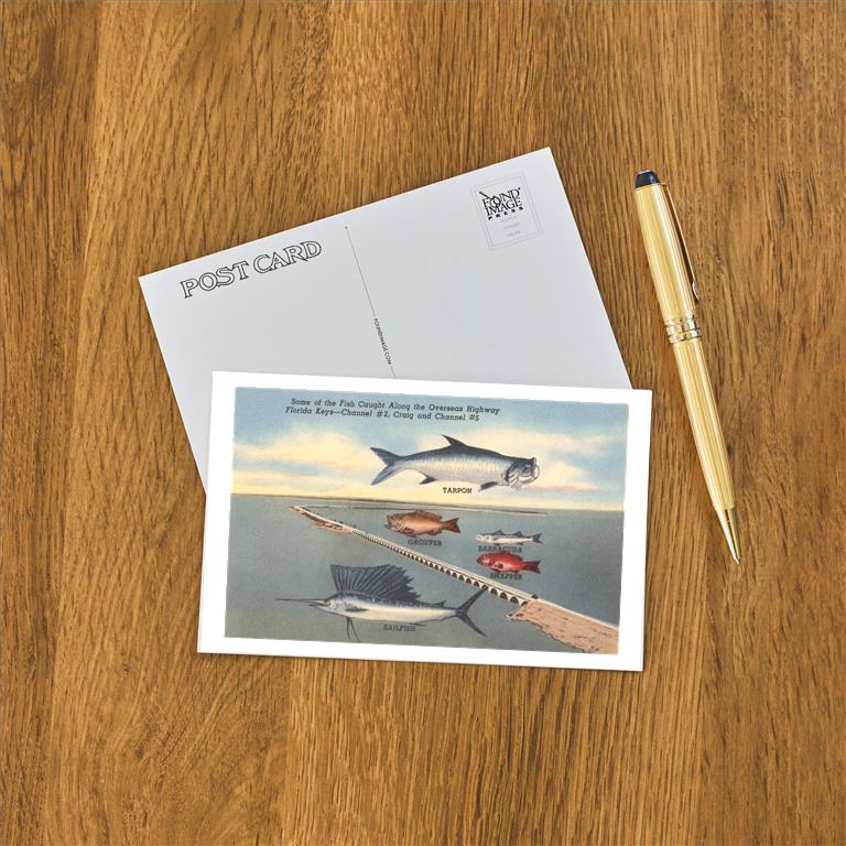 Postcard FL-600