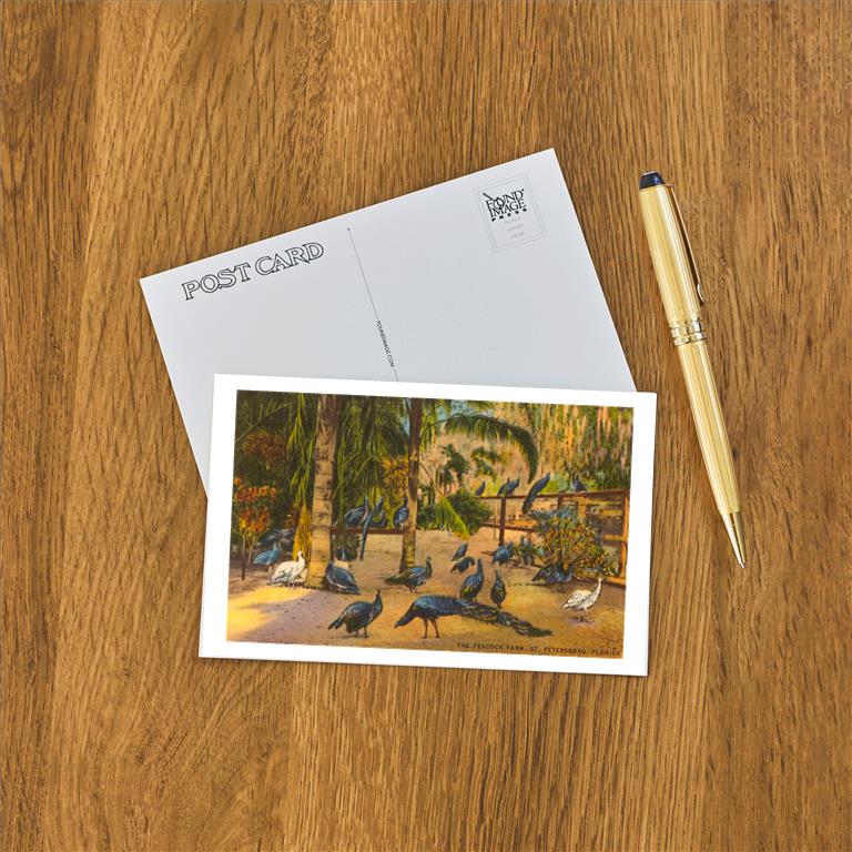 Postcard FL-614