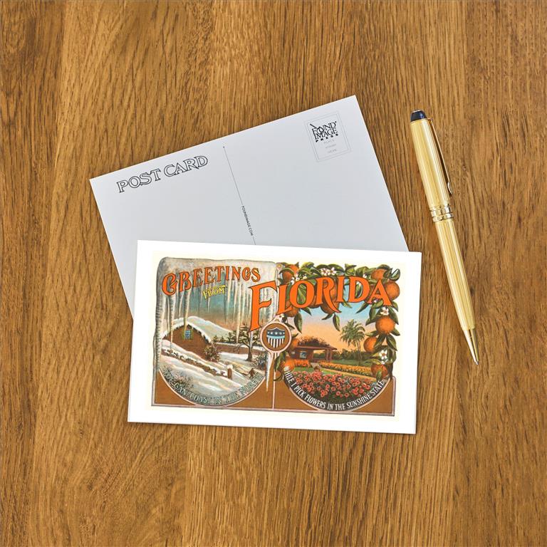 Postcard FL-780