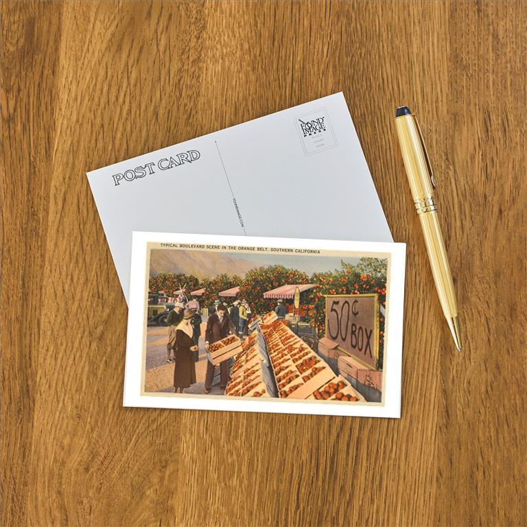 Postcard FR-20