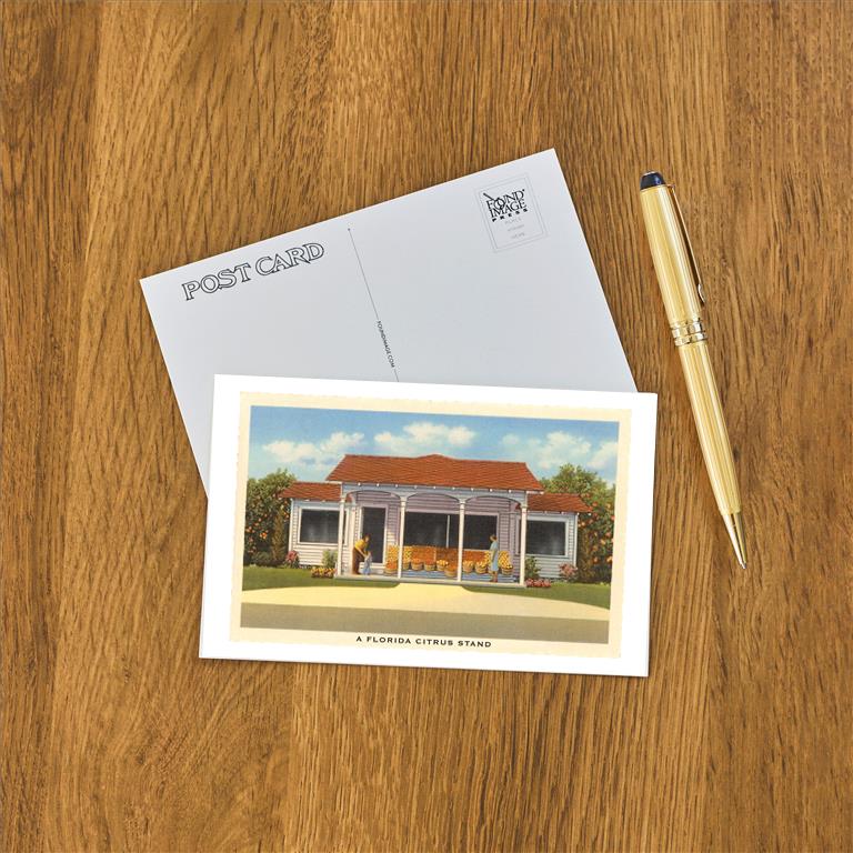 Postcard FL-978