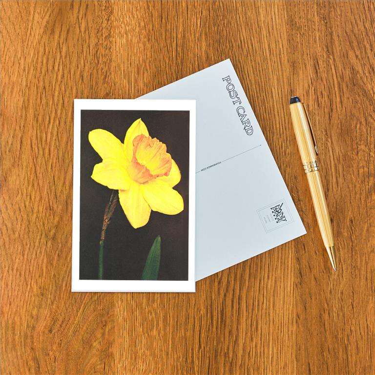 Postcard FP-13