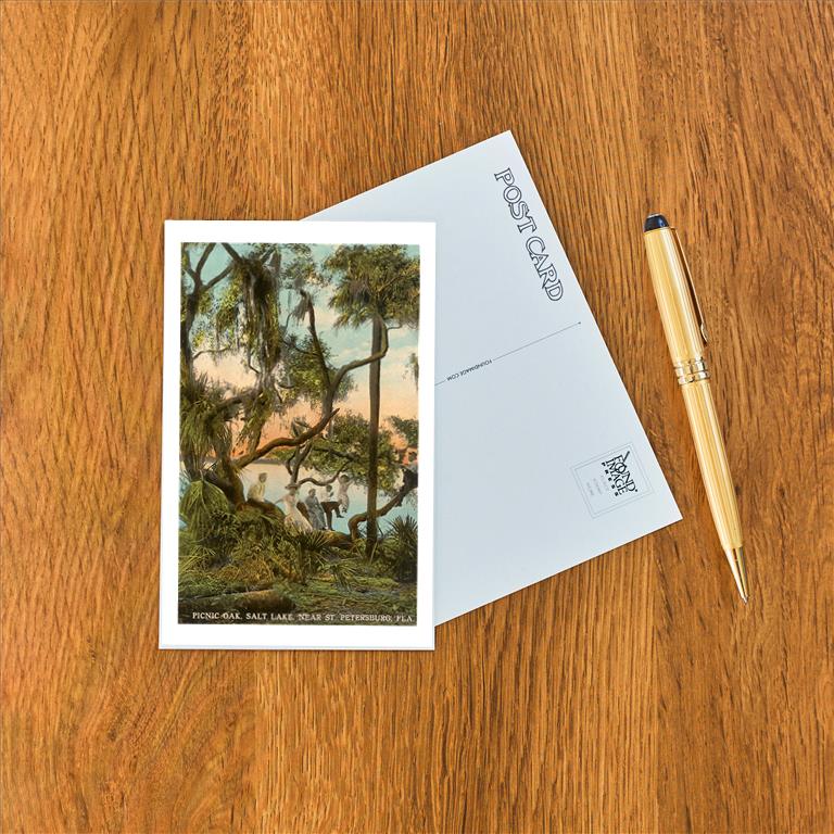 Postcard FL-471