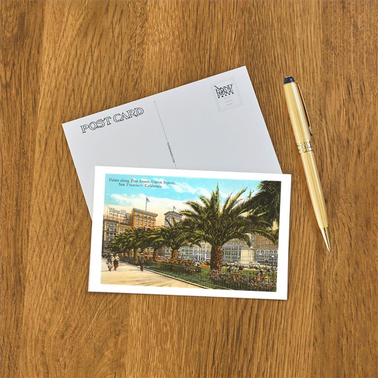 Postcard SF-213