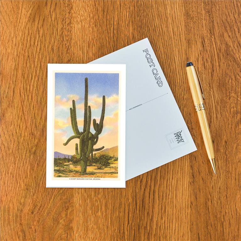 Postcard AZ-47