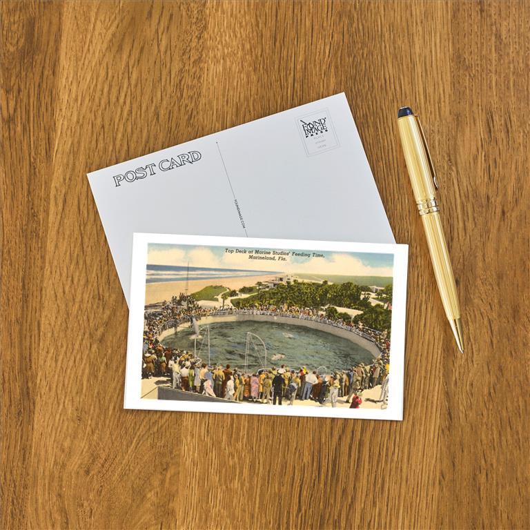 Postcard FL-500