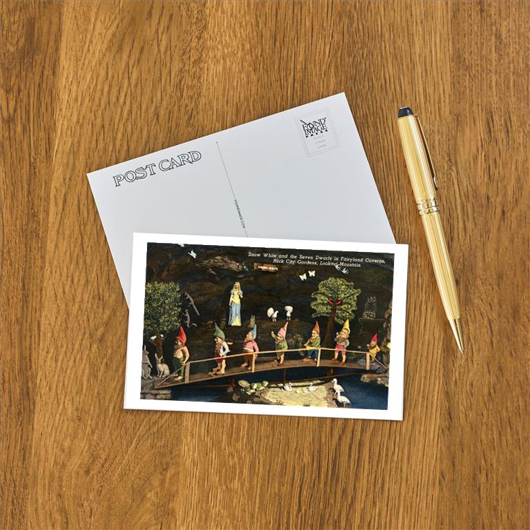 Postcard TN-302