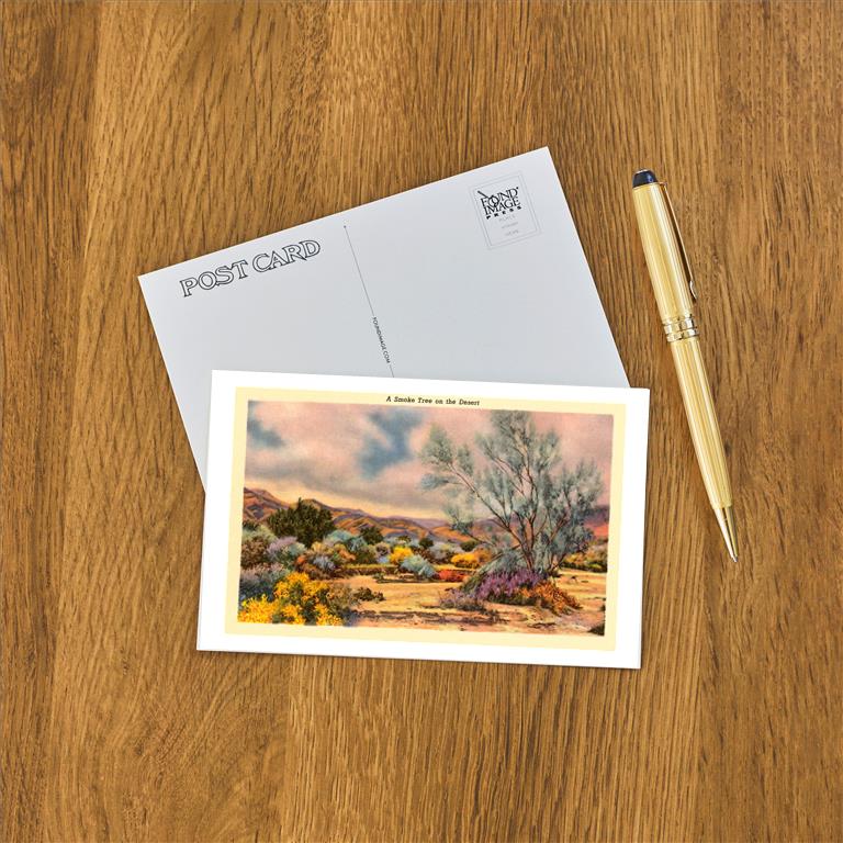 Postcard CD-19