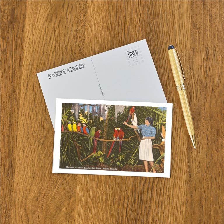 Postcard FL-120