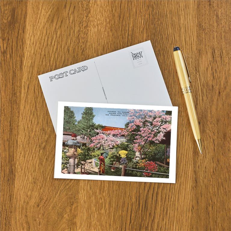 Postcard SF-294