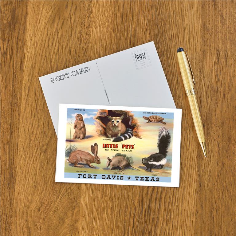 Postcard TX-938