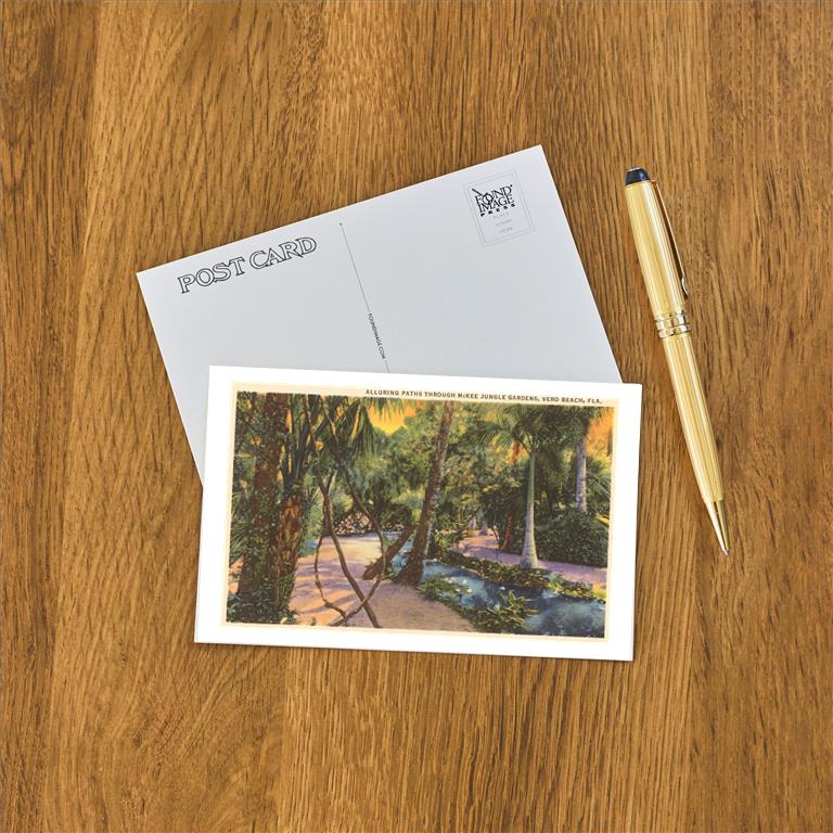 Postcard FL-565