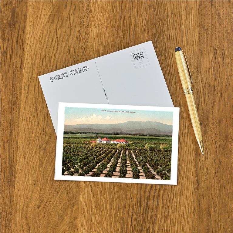 Postcard CA-1265
