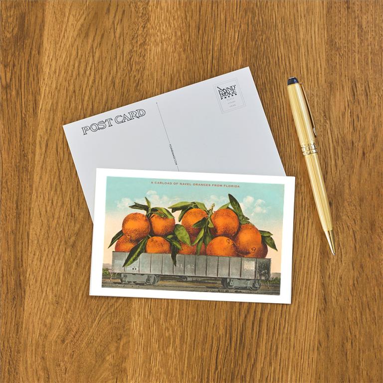 Postcard FL-998