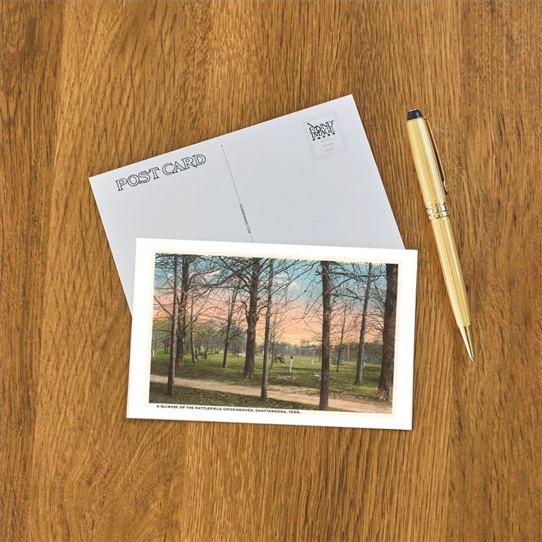 Postcard TN-13