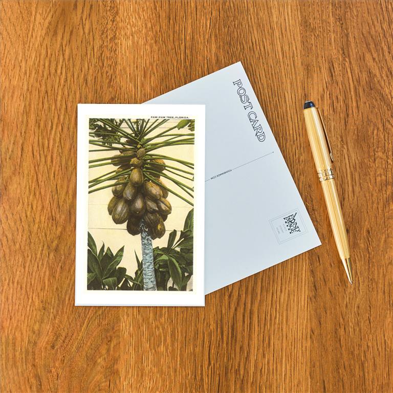 Postcard FL-695