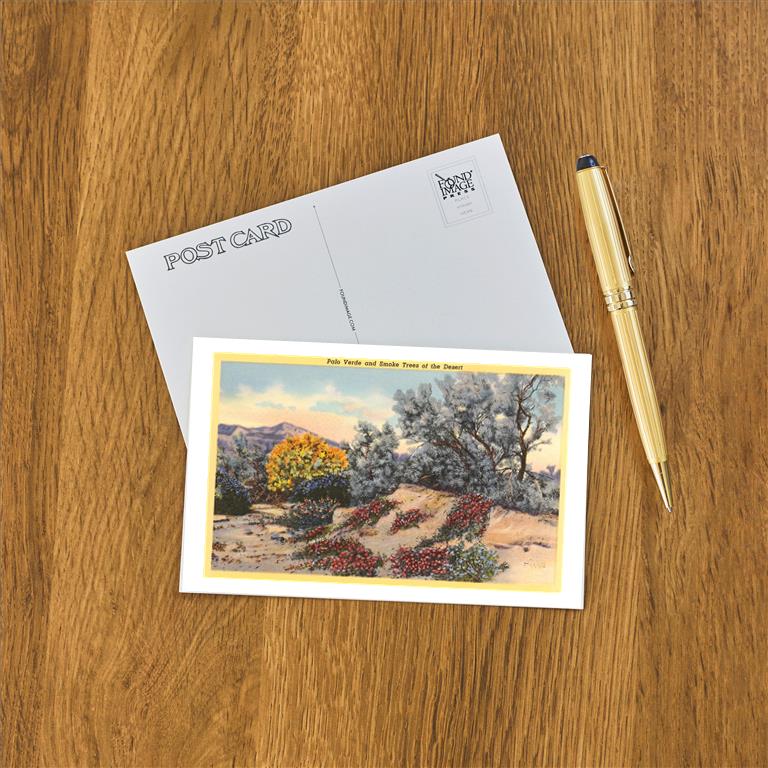 Postcard AZ-19