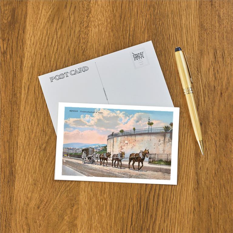 Postcard IT-203