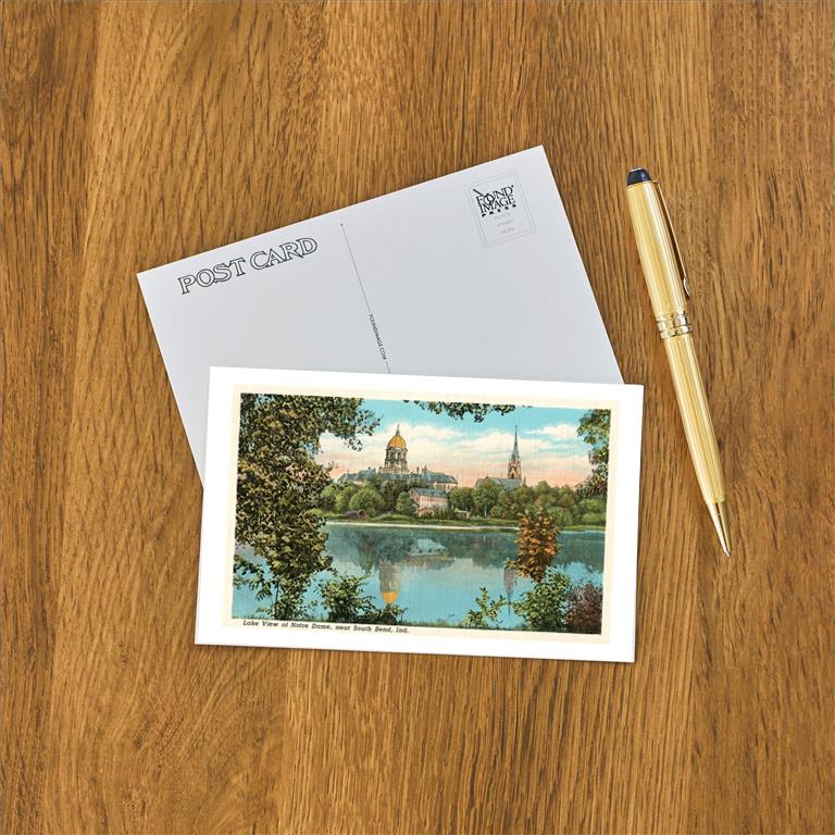 Postcard IN-273