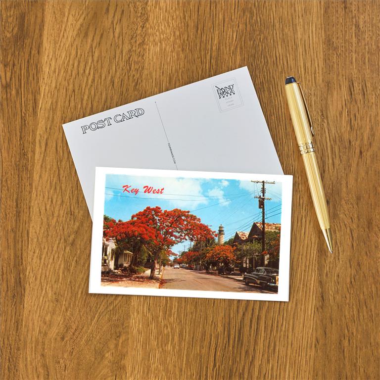 Postcard FL-718