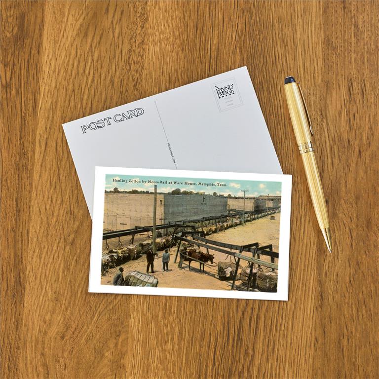 Postcard TN-199