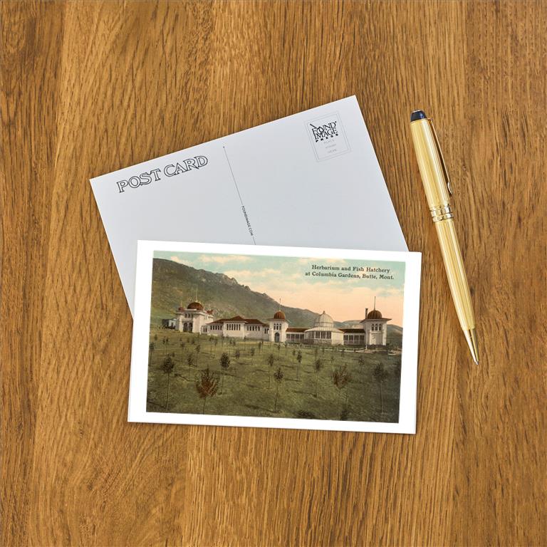 Postcard MT-21